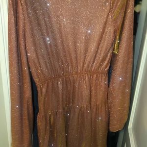 Never worn- Molly Green sparkly dress (large)